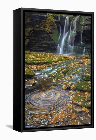 USA, West Virginia, Blackwater Falls State Park. Waterfall and whirlpool scenic.-Jaynes Gallery-Framed Premier Image Canvas