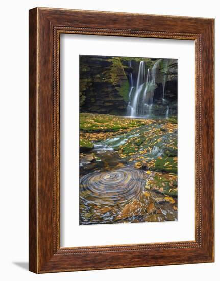 USA, West Virginia, Blackwater Falls State Park. Waterfall and whirlpool scenic.-Jaynes Gallery-Framed Photographic Print