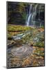 USA, West Virginia, Blackwater Falls State Park. Waterfall and whirlpool scenic.-Jaynes Gallery-Mounted Photographic Print