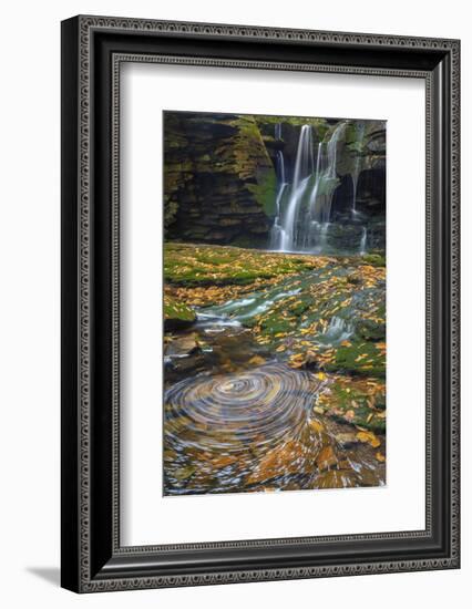 USA, West Virginia, Blackwater Falls State Park. Waterfall and whirlpool scenic.-Jaynes Gallery-Framed Photographic Print