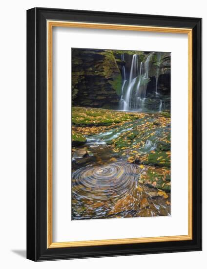 USA, West Virginia, Blackwater Falls State Park. Waterfall and whirlpool scenic.-Jaynes Gallery-Framed Photographic Print