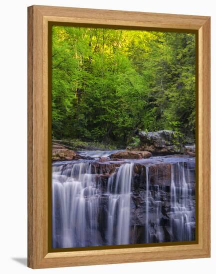 USA, West Virginia, Davis, Blackwater Falls. Scenic of the falls.-Jay O'brien-Framed Premier Image Canvas