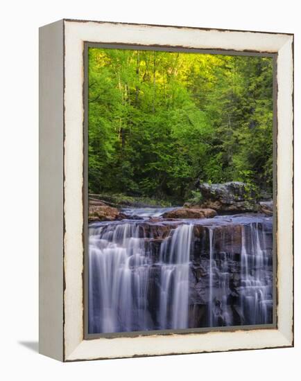 USA, West Virginia, Davis, Blackwater Falls. Scenic of the falls.-Jay O'brien-Framed Premier Image Canvas