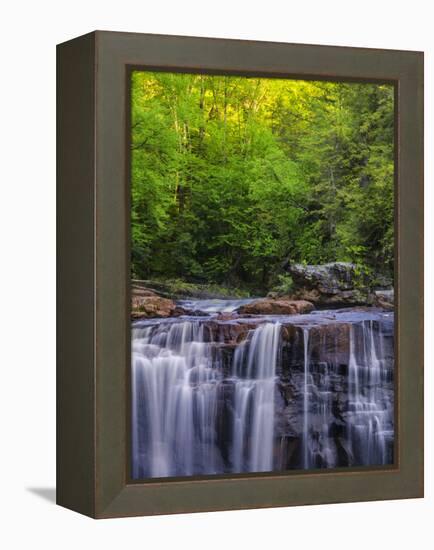 USA, West Virginia, Davis, Blackwater Falls. Scenic of the falls.-Jay O'brien-Framed Premier Image Canvas