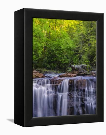 USA, West Virginia, Davis, Blackwater Falls. Scenic of the falls.-Jay O'brien-Framed Premier Image Canvas