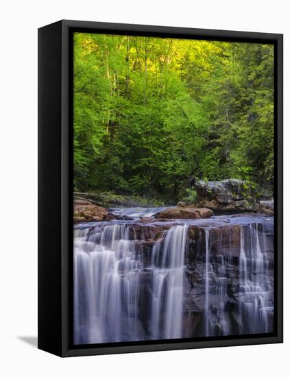 USA, West Virginia, Davis, Blackwater Falls. Scenic of the falls.-Jay O'brien-Framed Premier Image Canvas