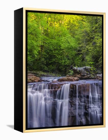 USA, West Virginia, Davis, Blackwater Falls. Scenic of the falls.-Jay O'brien-Framed Premier Image Canvas