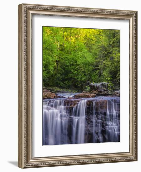 USA, West Virginia, Davis, Blackwater Falls. Scenic of the falls.-Jay O'brien-Framed Photographic Print