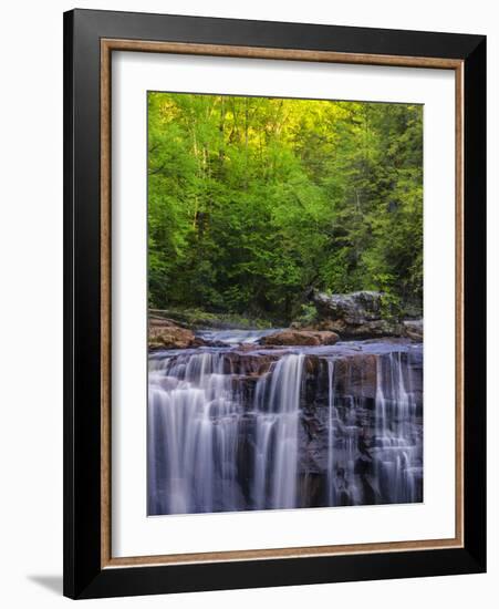 USA, West Virginia, Davis, Blackwater Falls. Scenic of the falls.-Jay O'brien-Framed Photographic Print