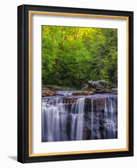 USA, West Virginia, Davis, Blackwater Falls. Scenic of the falls.-Jay O'brien-Framed Photographic Print