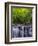 USA, West Virginia, Davis, Blackwater Falls. Scenic of the falls.-Jay O'brien-Framed Photographic Print