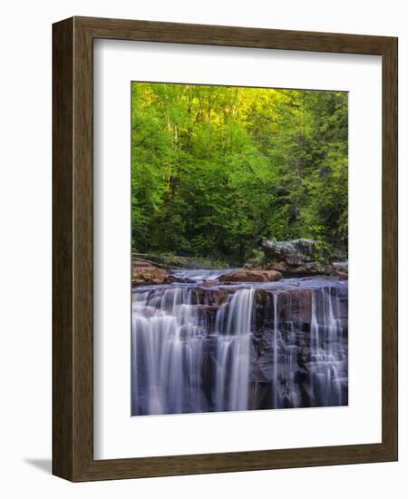 USA, West Virginia, Davis, Blackwater Falls. Scenic of the falls.-Jay O'brien-Framed Photographic Print