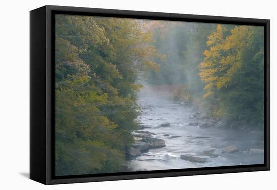 USA, West Virginia, Davis. Foggy stream in Blackwater State Park.-Jaynes Gallery-Framed Premier Image Canvas