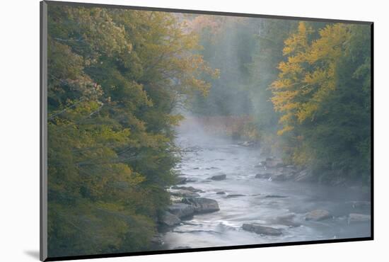 USA, West Virginia, Davis. Foggy stream in Blackwater State Park.-Jaynes Gallery-Mounted Photographic Print