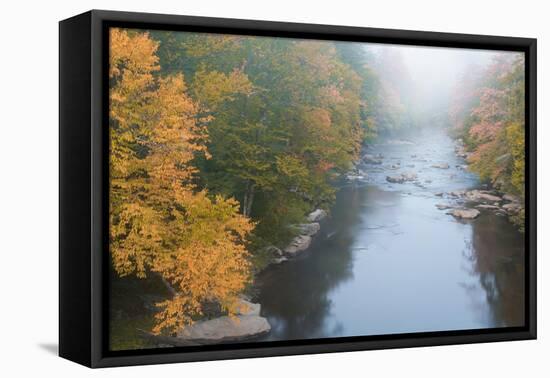 USA, West Virginia, Davis. Foggy stream in Blackwater State Park.-Jaynes Gallery-Framed Premier Image Canvas