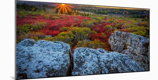 USA, West Virginia, Dolly Sods Wilderness Area. Sunset on tundra and rocks.-Jaynes Gallery-Mounted Photographic Print