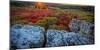 USA, West Virginia, Dolly Sods Wilderness Area. Sunset on tundra and rocks.-Jaynes Gallery-Mounted Photographic Print