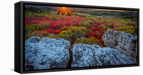 USA, West Virginia, Dolly Sods Wilderness Area. Sunset on tundra and rocks.-Jaynes Gallery-Framed Premier Image Canvas