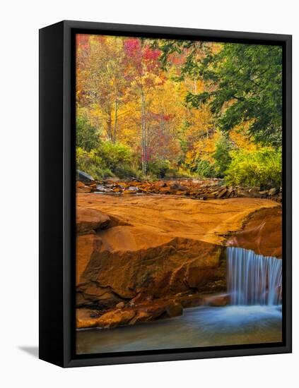 USA, West Virginia, Douglass Falls. Waterfall over Rock Outcrop-Jay O'brien-Framed Premier Image Canvas