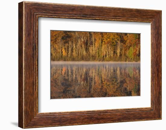 USA, Wisconsin. A cold morning on a Mill pond Lake in Autumn.-Brenda Tharp-Framed Photographic Print