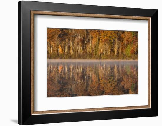 USA, Wisconsin. A cold morning on a Mill pond Lake in Autumn.-Brenda Tharp-Framed Photographic Print