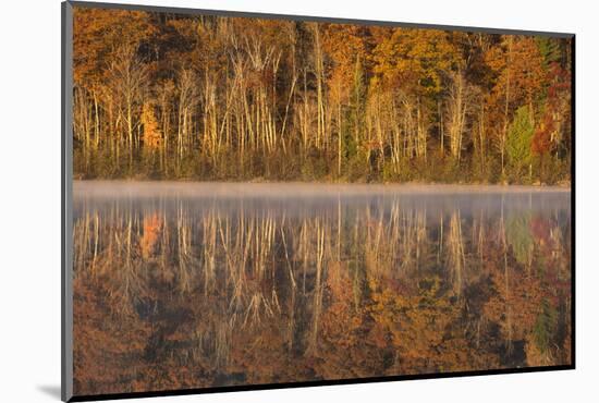 USA, Wisconsin. A cold morning on a Mill pond Lake in Autumn.-Brenda Tharp-Mounted Photographic Print