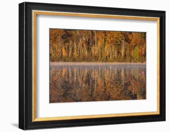 USA, Wisconsin. A cold morning on a Mill pond Lake in Autumn.-Brenda Tharp-Framed Photographic Print