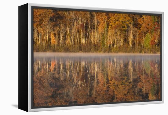 USA, Wisconsin. A cold morning on a Mill pond Lake in Autumn.-Brenda Tharp-Framed Premier Image Canvas