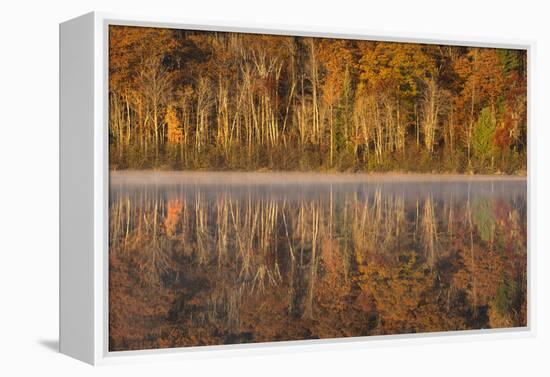 USA, Wisconsin. A cold morning on a Mill pond Lake in Autumn.-Brenda Tharp-Framed Premier Image Canvas