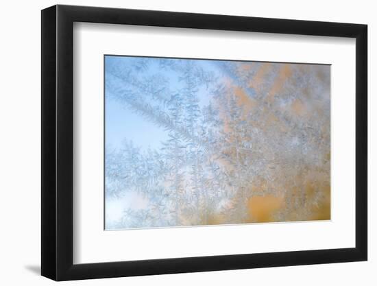 USA, Wisconsin, Madison. Frost Patterns Formed on Glass-Jaynes Gallery-Framed Photographic Print