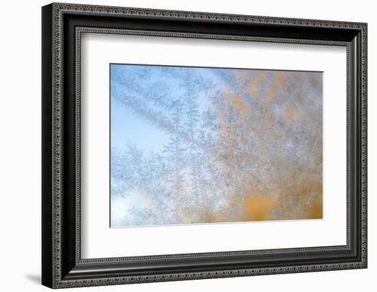 USA, Wisconsin, Madison. Frost Patterns Formed on Glass-Jaynes Gallery-Framed Photographic Print