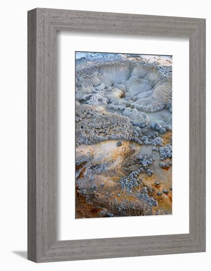 USA, Wyoming. Abstract geothermal feature, Anemone Geyser, Yellowstone National Park.-Judith Zimmerman-Framed Photographic Print