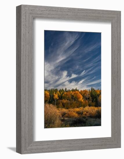 USA, Wyoming. Autumn afternoon clouds, Grand Teton National Park.-Judith Zimmerman-Framed Photographic Print