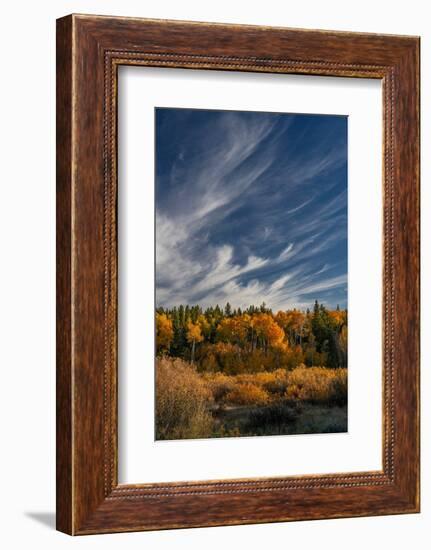 USA, Wyoming. Autumn afternoon clouds, Grand Teton National Park.-Judith Zimmerman-Framed Photographic Print