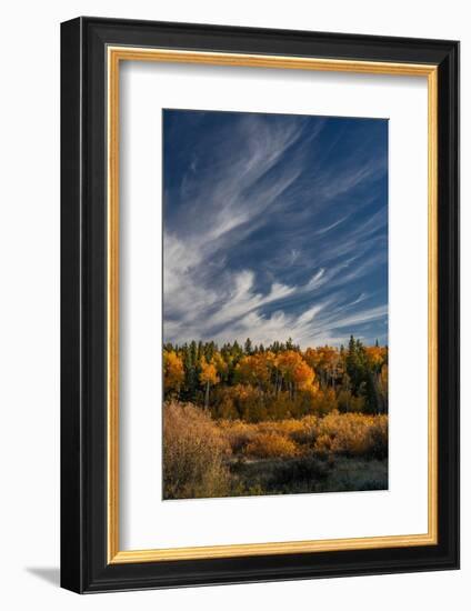 USA, Wyoming. Autumn afternoon clouds, Grand Teton National Park.-Judith Zimmerman-Framed Photographic Print