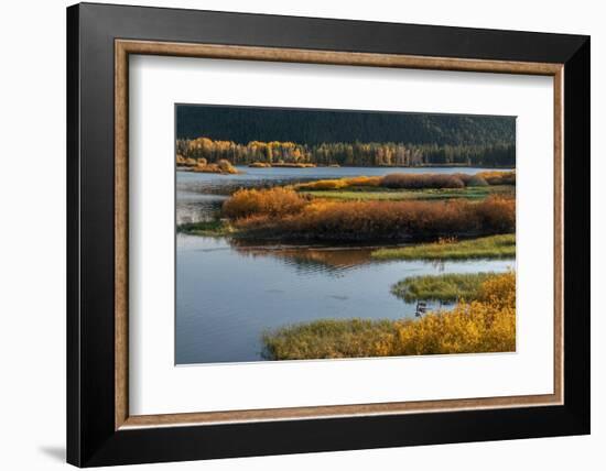 USA, Wyoming. Autumn evening at the Oxbow Bend, Grand Teton National Park.-Judith Zimmerman-Framed Photographic Print