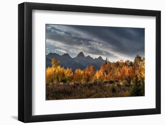 USA, Wyoming. Autumn evening near Black Tail Butte, Grand Teton National Park.-Judith Zimmerman-Framed Photographic Print