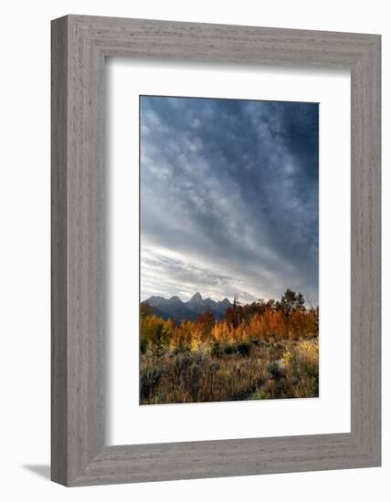 USA, Wyoming. Autumn evening near Black Tail Butte, Grand Teton National Park.-Judith Zimmerman-Framed Photographic Print