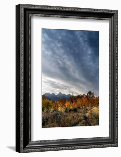 USA, Wyoming. Autumn evening near Black Tail Butte, Grand Teton National Park.-Judith Zimmerman-Framed Photographic Print