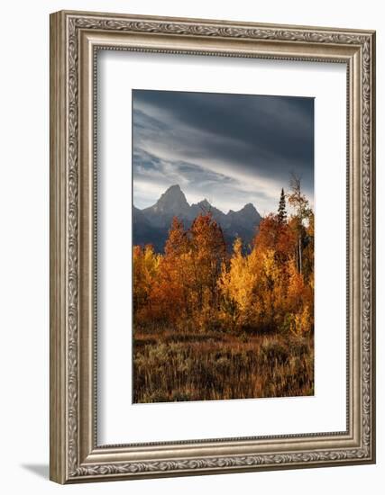 USA, Wyoming. Autumn evening near Black Tail Butte, Grand Teton National Park.-Judith Zimmerman-Framed Photographic Print