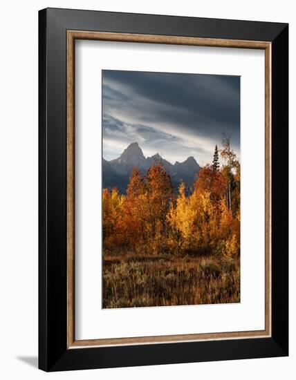 USA, Wyoming. Autumn evening near Black Tail Butte, Grand Teton National Park.-Judith Zimmerman-Framed Photographic Print