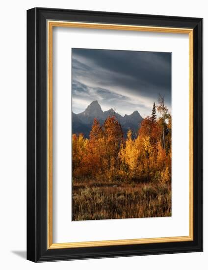 USA, Wyoming. Autumn evening near Black Tail Butte, Grand Teton National Park.-Judith Zimmerman-Framed Photographic Print