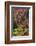 USA, Wyoming. Colorful autumn foliage, Caribou-Targhee National Forest.-Judith Zimmerman-Framed Photographic Print