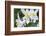 USA, Wyoming. Columbine wildflowers, Grand Teton National Park.-Judith Zimmerman-Framed Photographic Print