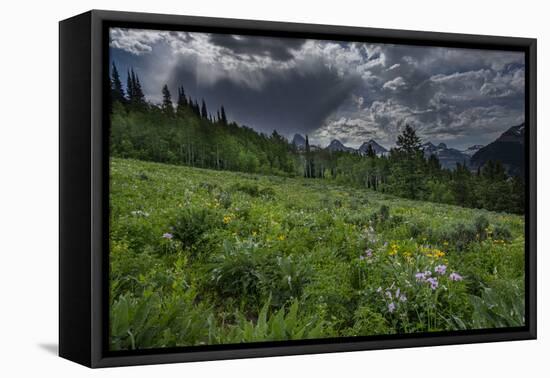 USA, Wyoming. Dramatic clouds and wildflowers in meadow west side of Teton Mountains-Howie Garber-Framed Premier Image Canvas