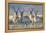 USA, Wyoming, Four Pronghorn Antelope Bucks in Spring-Elizabeth Boehm-Framed Premier Image Canvas