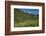 USA, Wyoming. Geranium and arrowleaf balsamroot wildflowers in meadow west side of Teton Mountains-Howie Garber-Framed Photographic Print