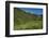 USA, Wyoming. Geranium and arrowleaf balsamroot wildflowers in meadow west side of Teton Mountains-Howie Garber-Framed Photographic Print