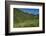 USA, Wyoming. Geranium and arrowleaf balsamroot wildflowers in meadow west side of Teton Mountains-Howie Garber-Framed Photographic Print