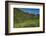 USA, Wyoming. Geranium and arrowleaf balsamroot wildflowers in meadow west side of Teton Mountains-Howie Garber-Framed Photographic Print